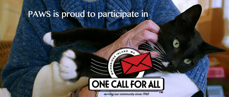 One Call For All 2016