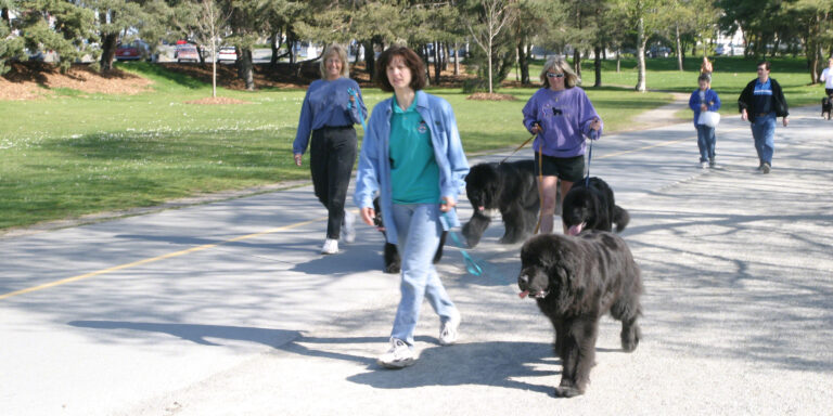 Walk and Support PAWS!