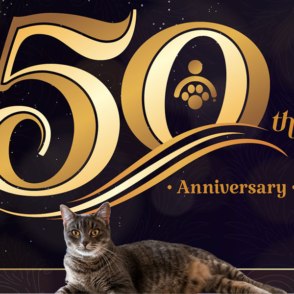 PAWS 2025 Gala banner