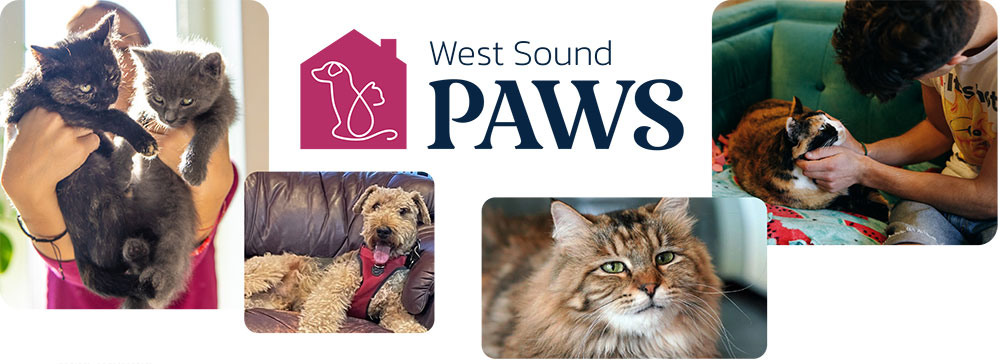 2025 Year End Appeal banner