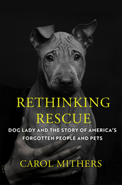 Rethinking Rescue book cover